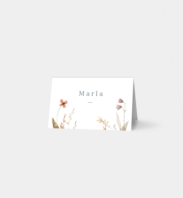 Flower Meadow