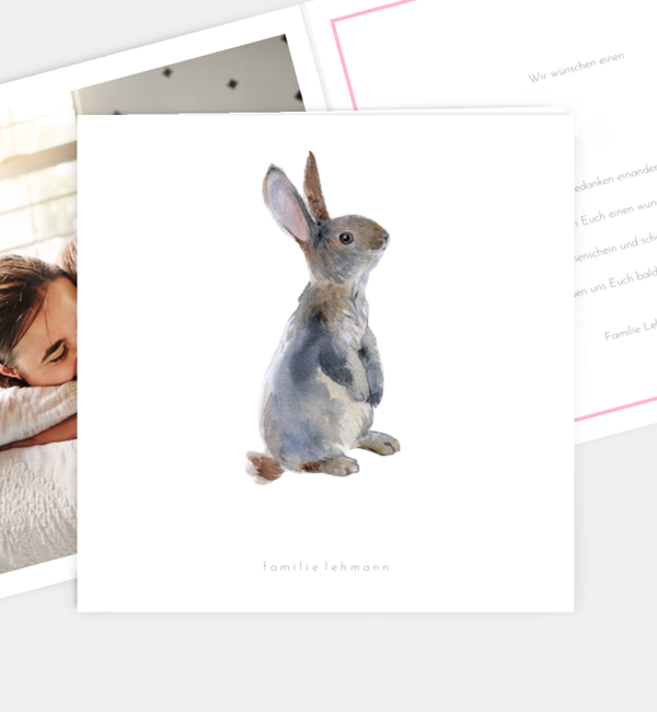 Hase