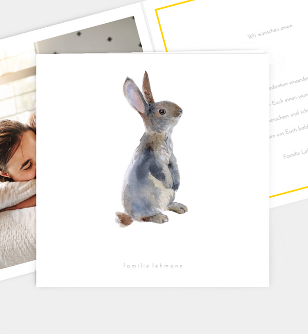 Hase