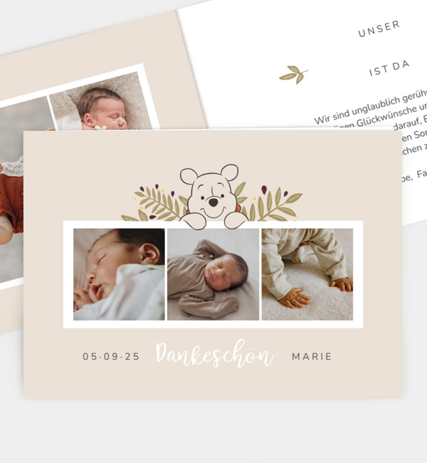 Winnie Puuh · Winnie & Nature