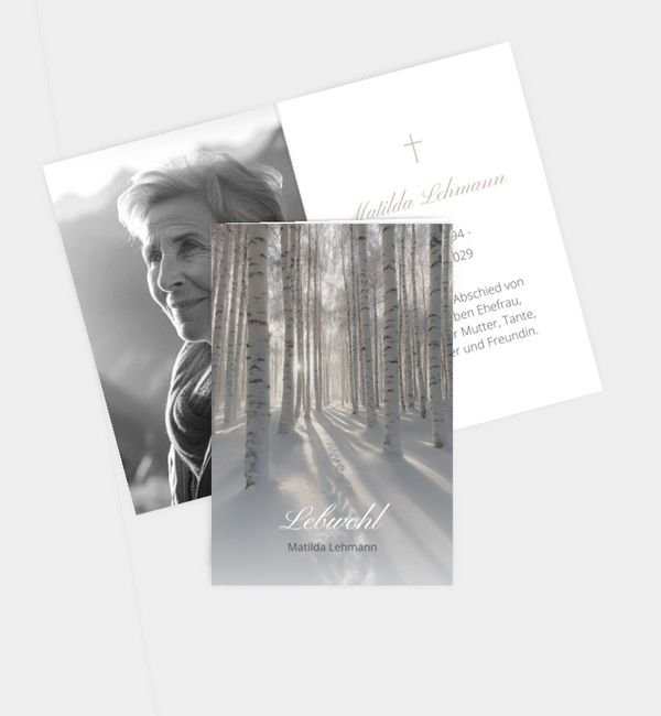 Winterlicher Abschied