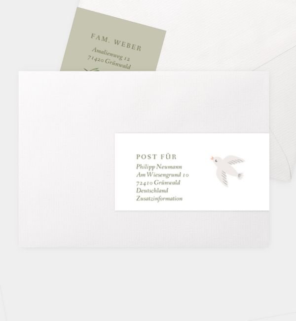 Olive & Bird