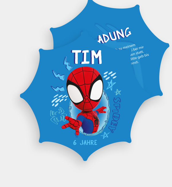 Spinnennetz