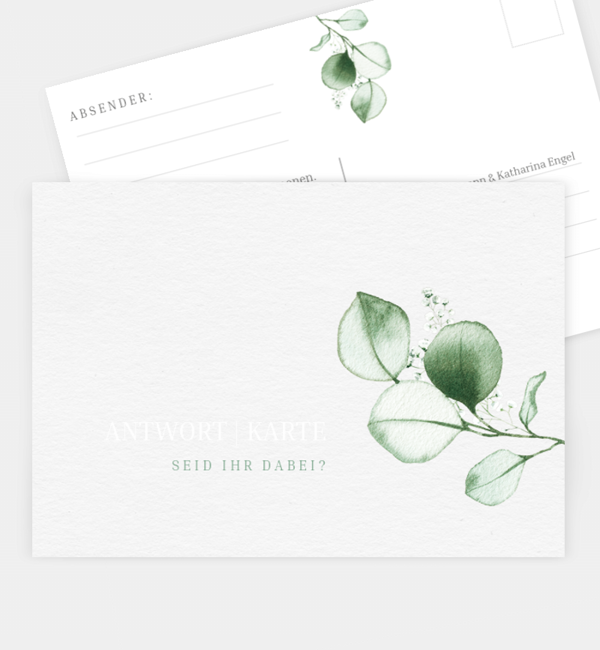 Sweet Eucalyptus