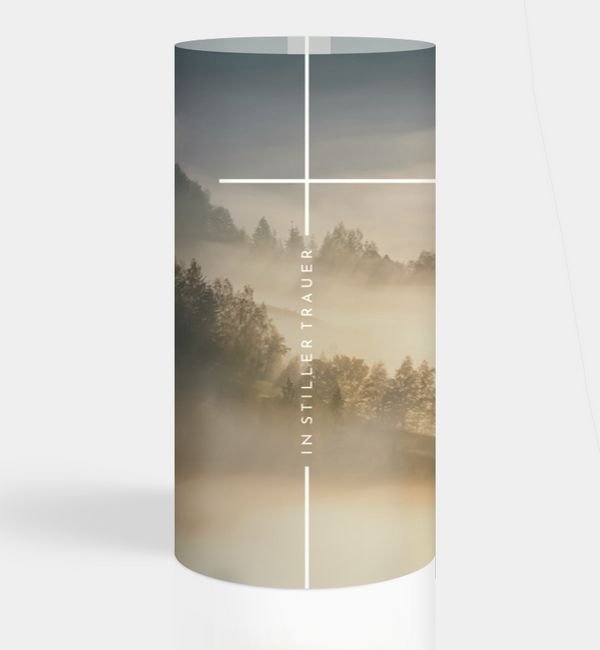 Sanfter Ausblick · Waldnebel