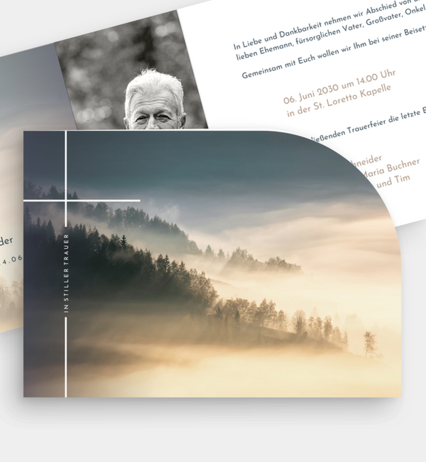 Sanfter Ausblick · Waldnebel