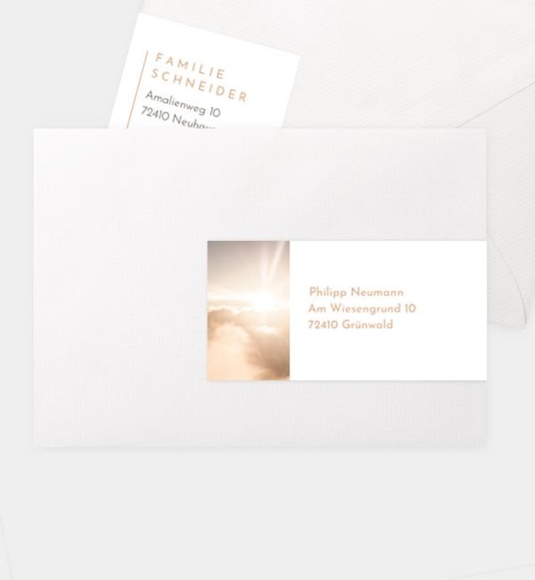 Abendhimmel · Waldnebel