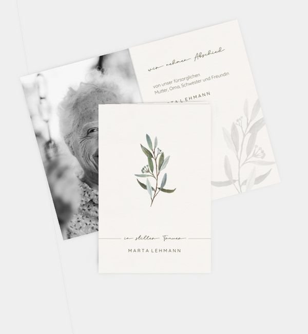 Olive branch