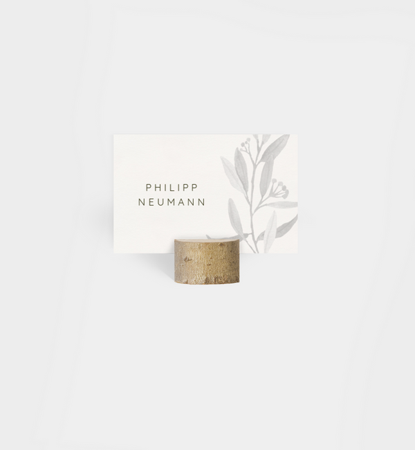 Olive branch