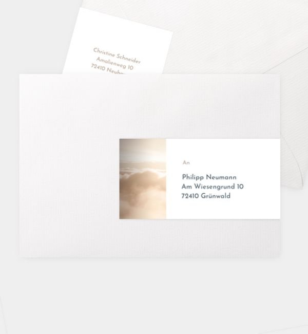 Sanfter Ausblick · Waldnebel