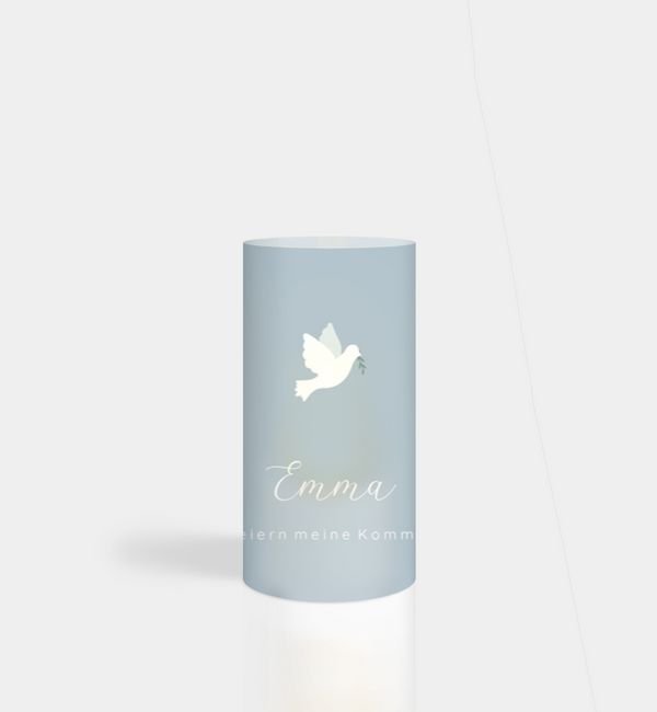 Flying Bird