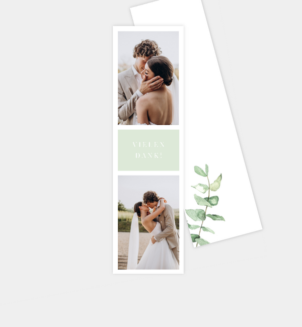 Simple Green