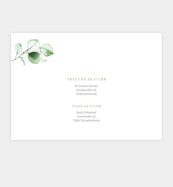Sweet Eucalyptus