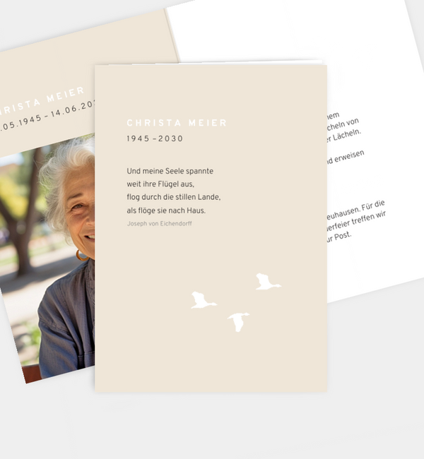 Letzter Flügelschlag