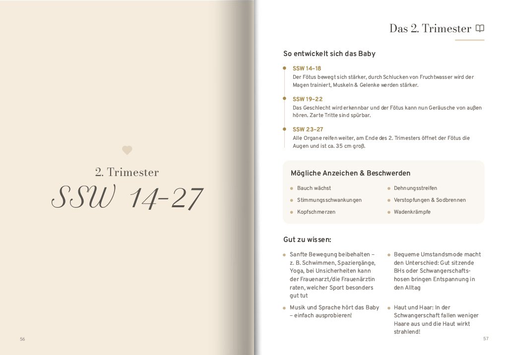 schwangerschaftstagebuch inlay 6
