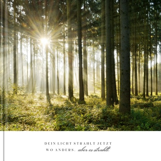 Fotobuch Waldfrieden