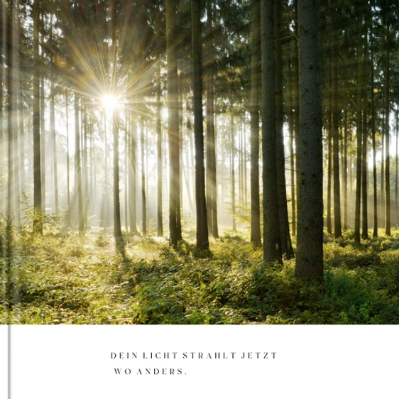 Fotobuch Waldfrieden