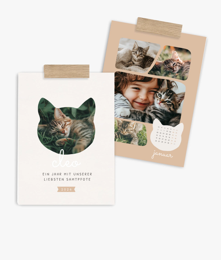 Wandkalender Samtpfote