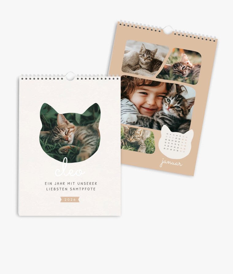 Wandkalender Samtpfote