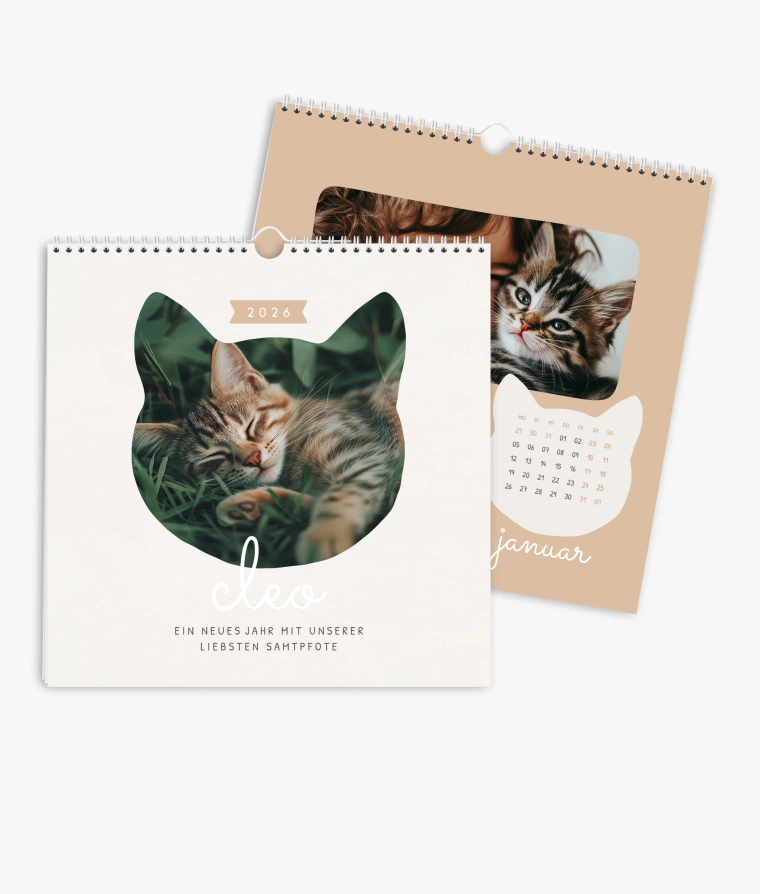 Wandkalender Samtpfote