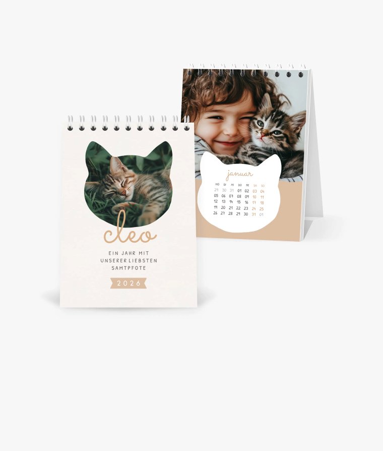 Tischkalender Samtpfote