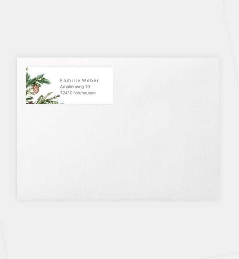Absenderaufkleber Weihnachten Tannengrün
