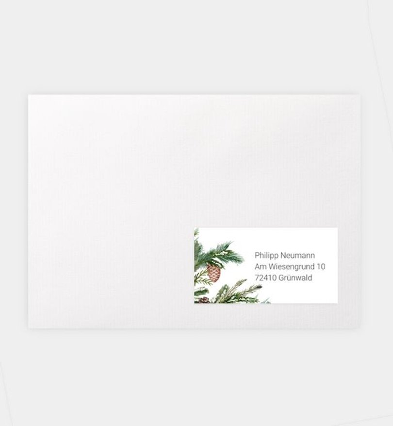 Empfängeraufkleber Weihnachten Tannengrün