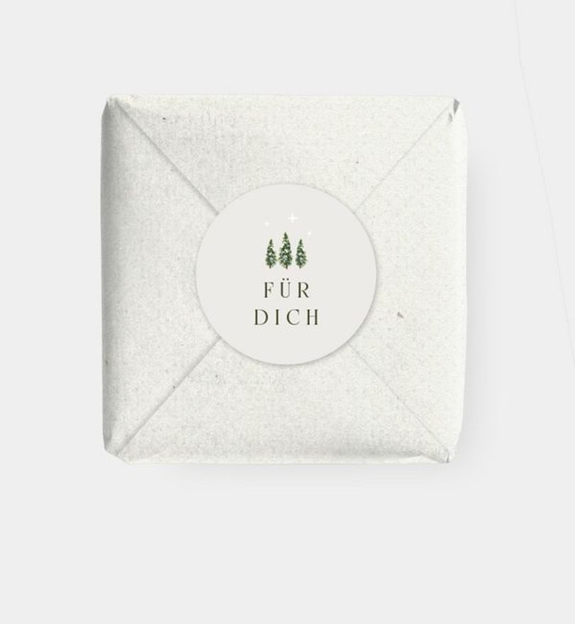 Geschenkaufkleber Weihnachten Schlitten