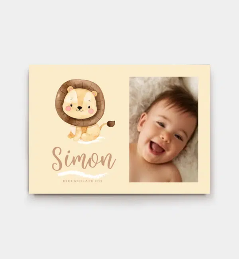 Little Lion