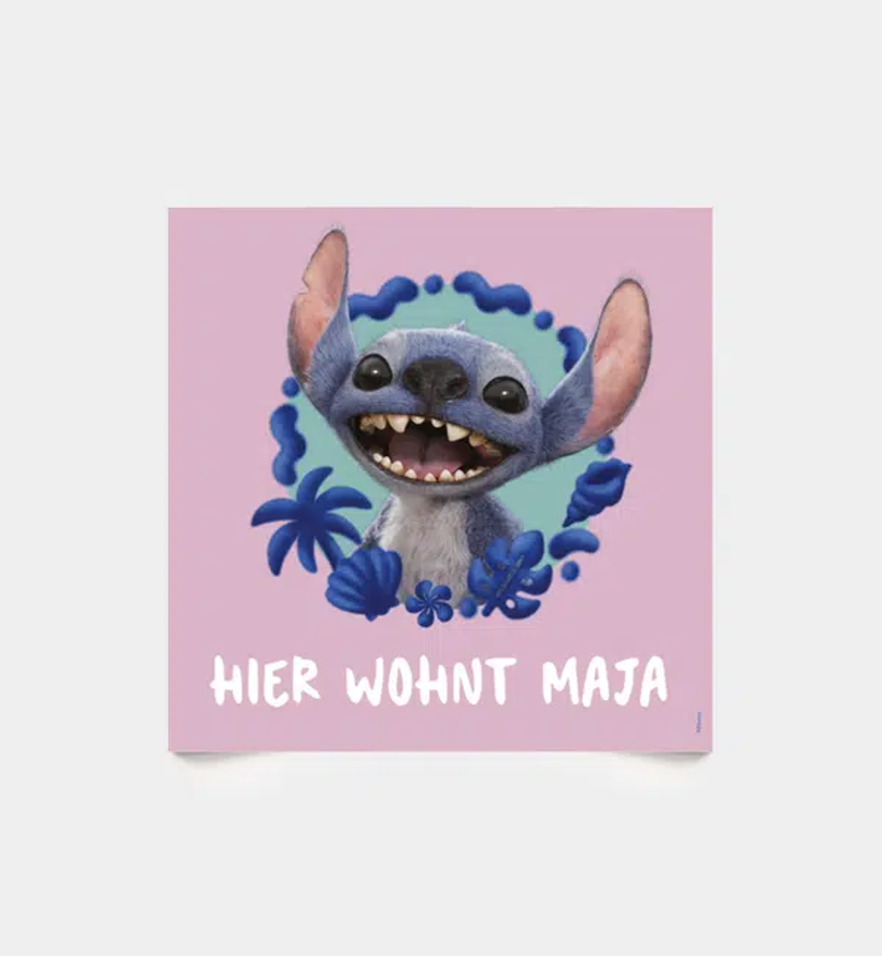 Stitch · Furry Friend